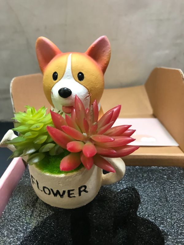 Photo 1 of corgi office décor 