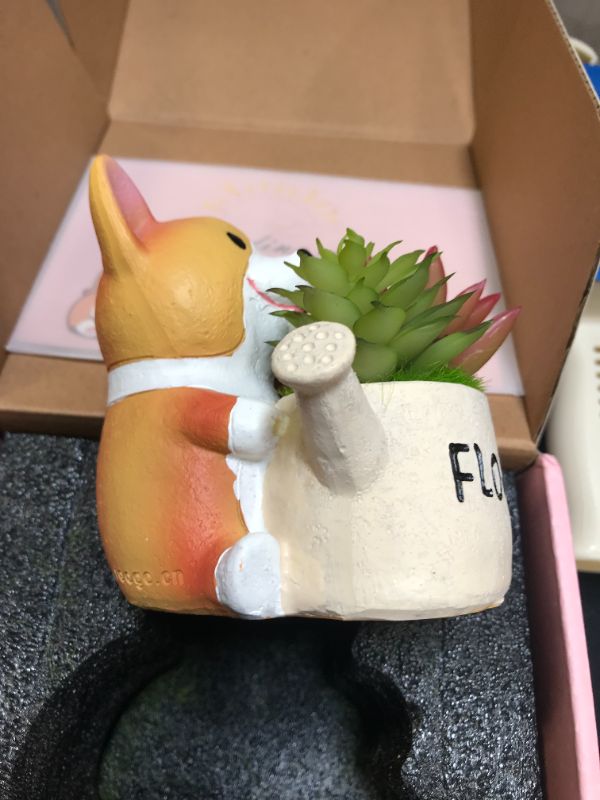 Photo 1 of corgi office décor 