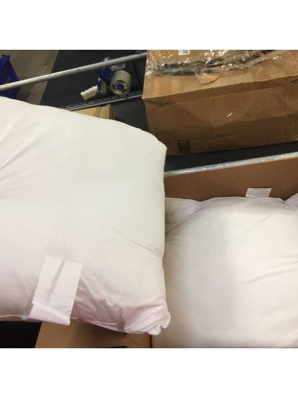 Photo 1 of 2 PK 22"x22" generic pillows 