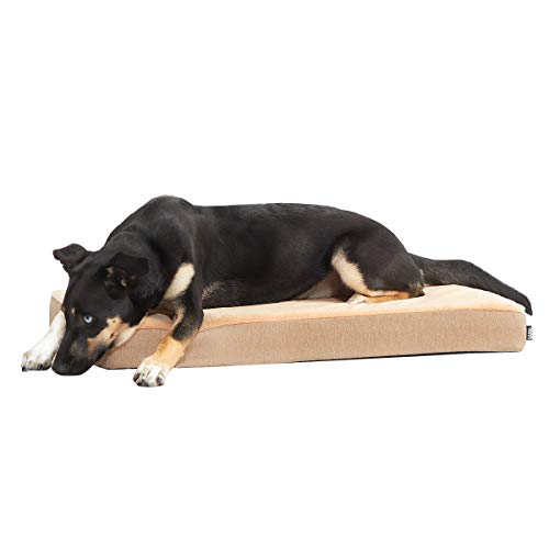 Photo 1 of Barkbox Memory Foam Platform Dog Bed | Plush Mattress for Orthopedic Joint Relief (Medium, Sand)
