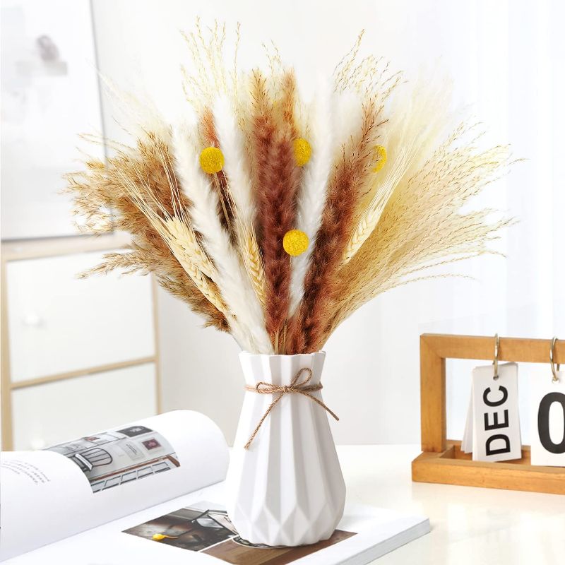 Photo 1 of 66 Pcs Natural Dried Flowers, Natural Dried Pampas Grass, Brown and White Reed Grass Yellow Billy Balls Flowers, Pampas Grass Decor Dried Flowers for Vase Flower Arrangements Home Decor