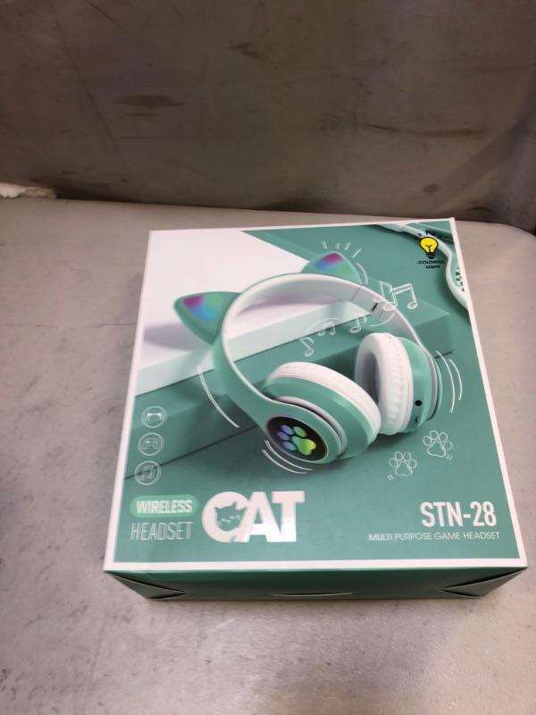 Photo 2 of Headphones STN -28 Cat