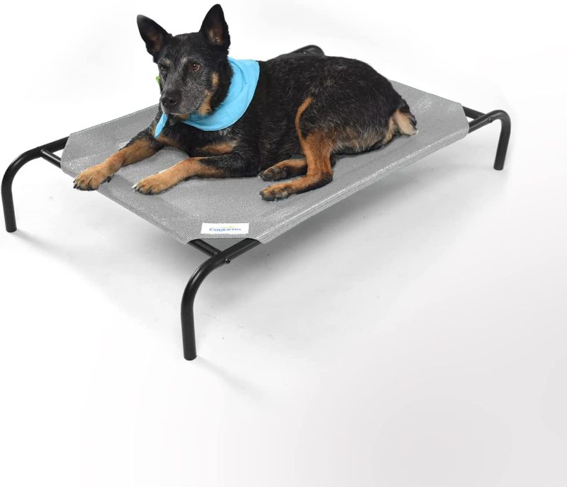 Photo 1 of Coolaroo The Original Cooling Elevated Pet Bed---missing hardware 
