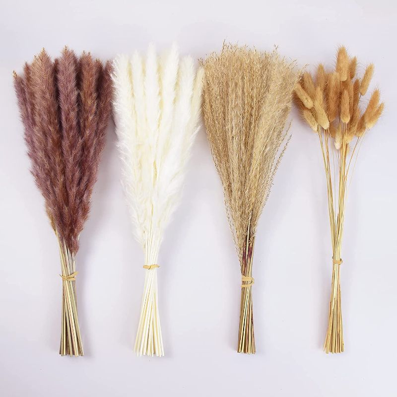 Photo 1 of 
Total 100 Pcs, 17" Set | Natural Dried Pampas Grass, 25 Pcs Brown Pampas Grass & 25 Pcs White Pampas Grass & 25 Pcs Reed Grass & 25 Pcs.