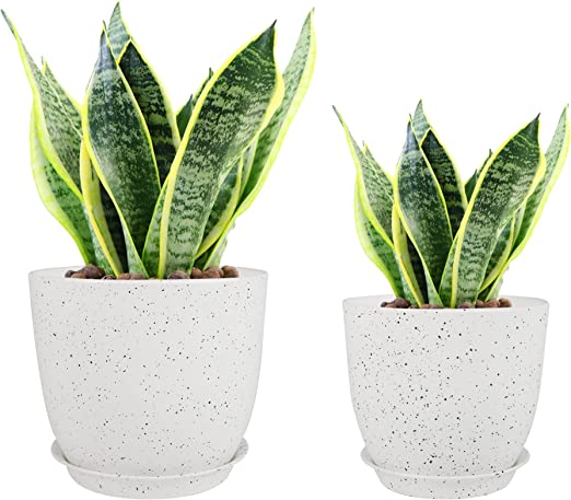 Photo 1 of Ahomdoo Plant Pots 8'' and 7'' Modern Decorative Plastic Planters with Drainage Holes and Saucers for Indoor Outdoor Plants Succulents Flowers
