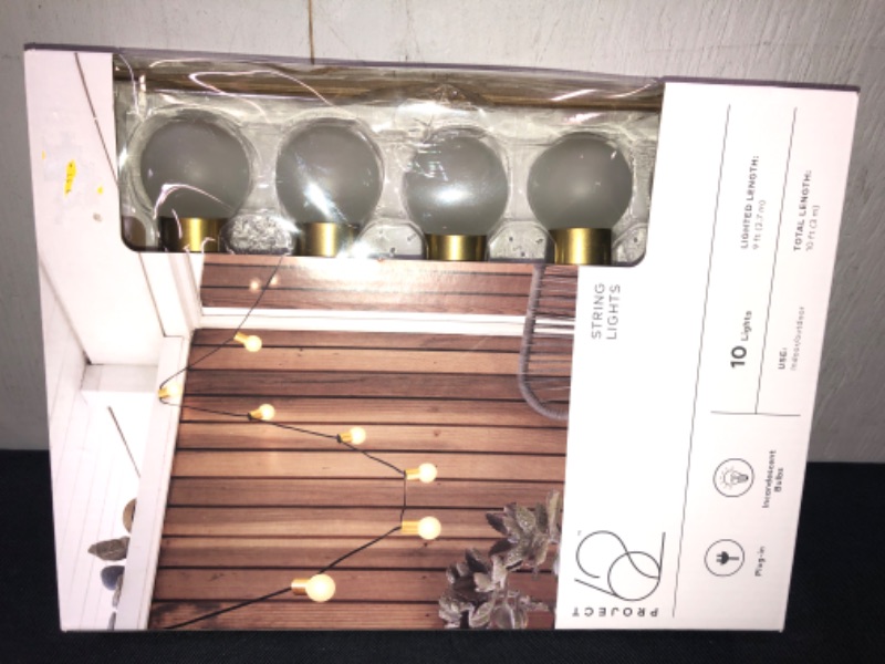 Photo 2 of 10ct Incandescent Outdoor String Lights G40 Frosted Bulbs - Project 62™