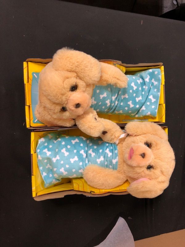 Photo 1 of cozy dozys 2 bears