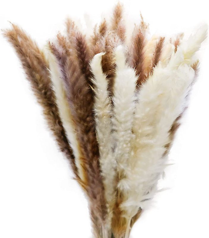 Photo 1 of 60 Pcs Natural Dried Pampas Grass, 30 Pcs White Pampas and 30 Pcs Brown Pampas for Home Decor, 17 inch
