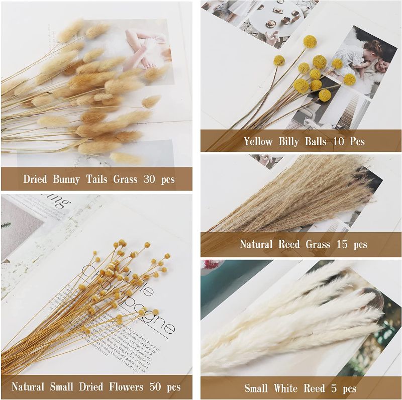 Photo 1 of 65 PCS Natural Dried Pampas Grass,Natural Dried Pampas Grass Bouquet,Pampas Grass,Used for Home Decoration, Wedding Decoration, Party Decoration, Office Dressing, DIY Decorations.