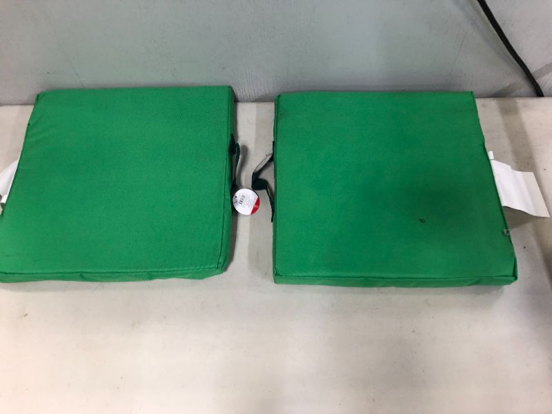 Photo 1 of -GREEN SEAT CUSHION - 2 CT * DIRTY 