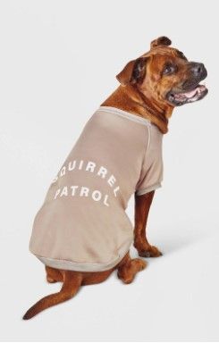 Photo 1 of 2 ct - Lightweight Phrase 'Squirrel Patrol' Dog and Cat Sweatshirt - Boots & Barkley™ - size medium 

