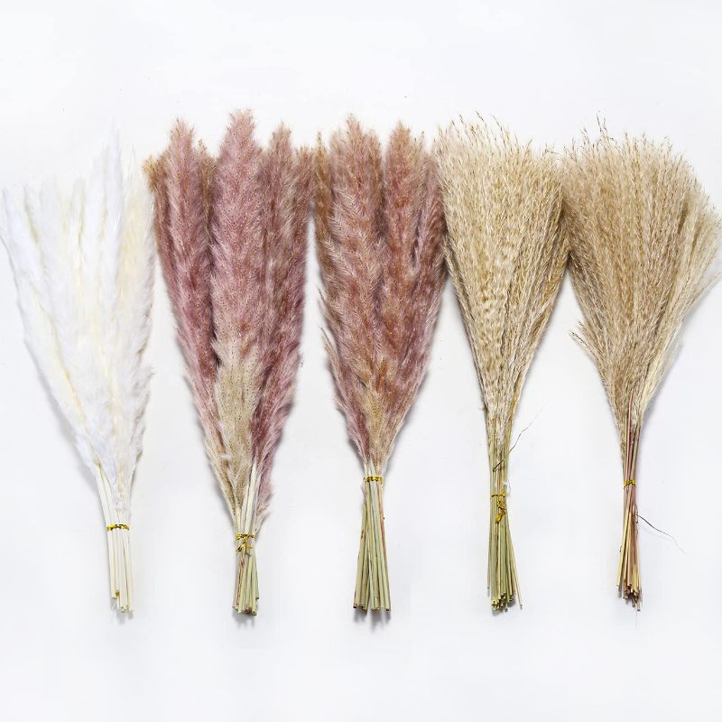 Photo 1 of 105Pcs?17.72" Dried White Pampas Grass 15 Pcs?Brown Dried Flower 30 Pcs?60 Pcs Natural Dried Reed, Natural Home Decor & Ideal for Flower Arrangements, Wedding Plants
