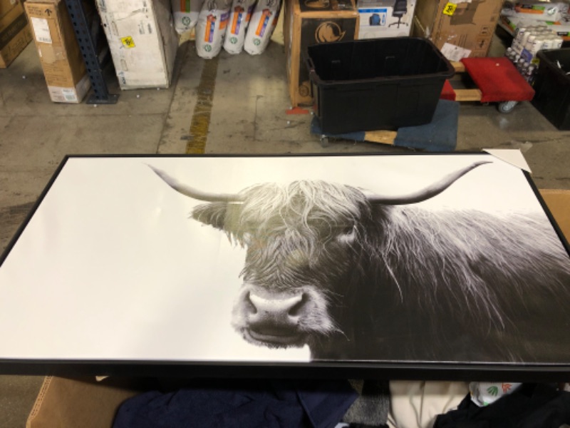 Photo 2 of 47 x 24 Highland Cow Framed Canvas - Threshold