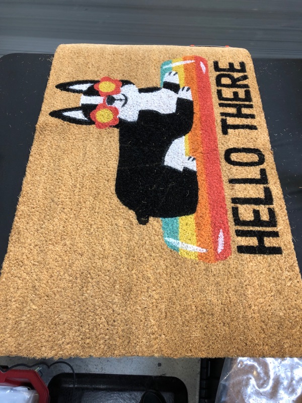 Photo 2 of 1'6"x2'6" Hello Summer Dog Doormat Natural - Sun Squad™

