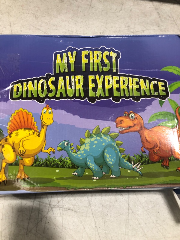 Photo 1 of Dinosaur Plush Animal Gift Set With Fun Facts Book