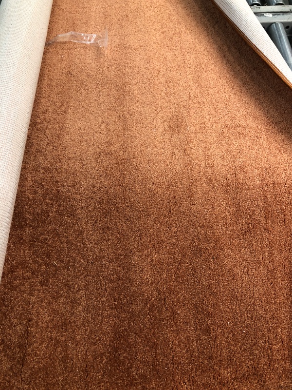 Photo 1 of 4 x 6  brown Solid Low-Pile Area Rug