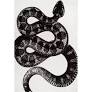 Photo 1 of 4x6 serpent rug