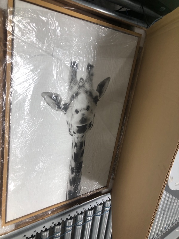 Photo 1 of Kate and Laurel Sylvie Giraffe Framed Canvas by Simon Te Tai, 22x23, Gray

