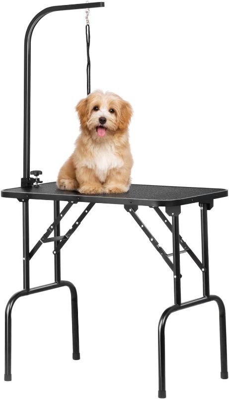 Photo 1 of (Incomplete - Table Top Only) Pet Dog Grooming Table