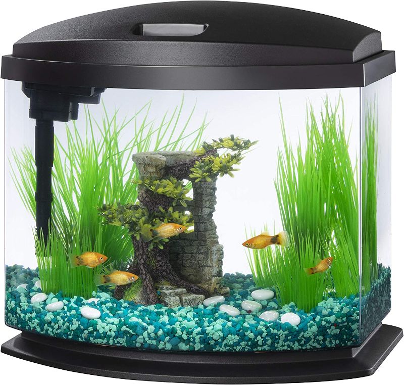 Photo 1 of Aqueon LED MiniBow Small Aquarium Fish Tank Kit with SmartClean Technology, Black, 5 Gallon
