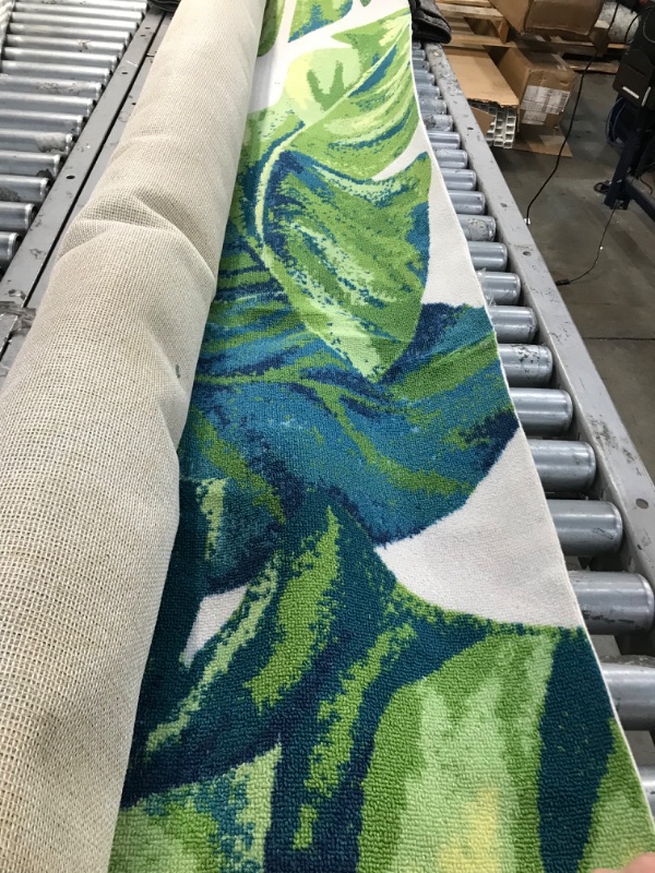 Photo 1 of 
nuLOOM Lisa Floral Indoor/Outdoor Area Rug, 8' x 10', Multi
Size:8 x 10 Feet
Color:Multi