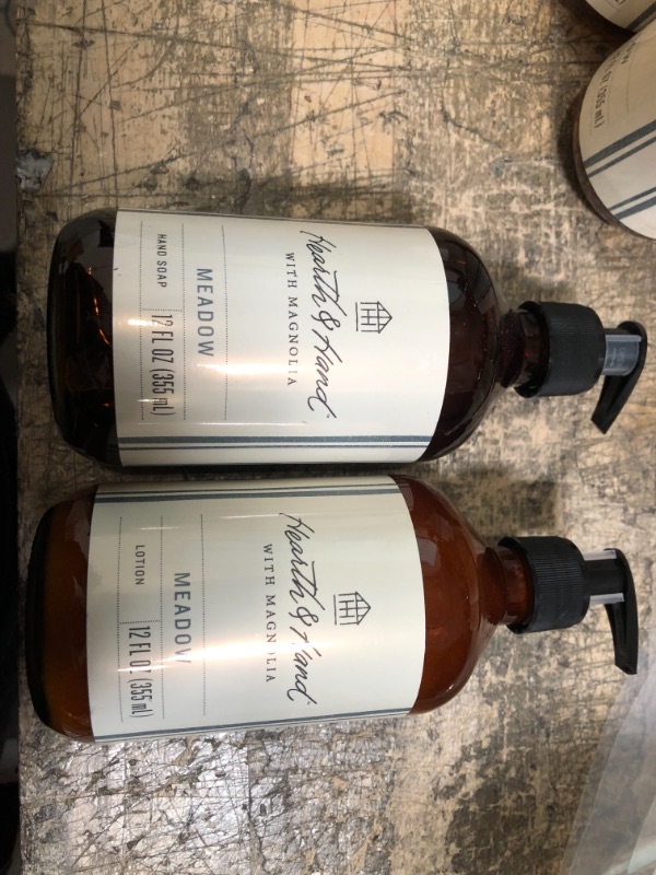 Photo 1 of 12 Fl Oz Hand Lotion and Hand Soap - Hearth & Hand with Magnolia (2 items)