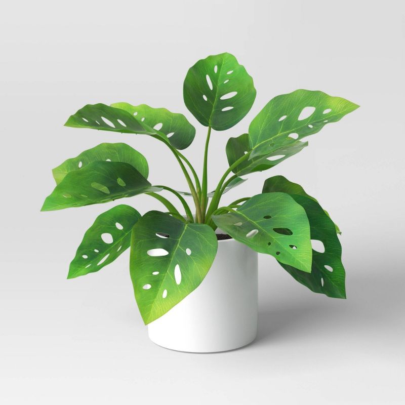 Photo 1 of Artificial Mini Monstera Plant - Threshold 2 pack 
