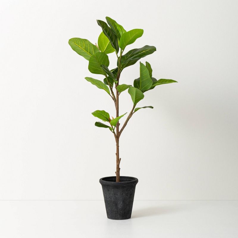 Photo 1 of 39" Faux Audrey Ficus Tree - Hearth & Hand™ with Magnolia
