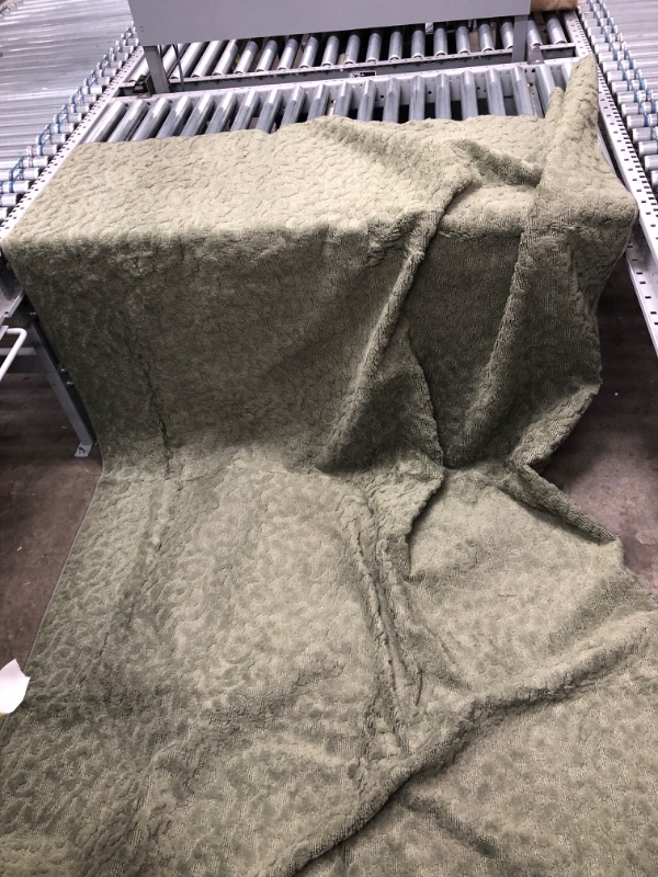 Photo 1 of 56" x 83" olive green oversize carpet