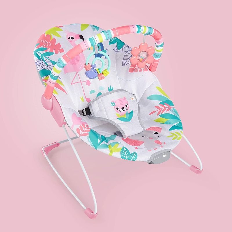 Photo 1 of Bright Starts Flamingo Vibes 3-Point Harness Harness Vibrating Baby Bouncer with -Toy bar
