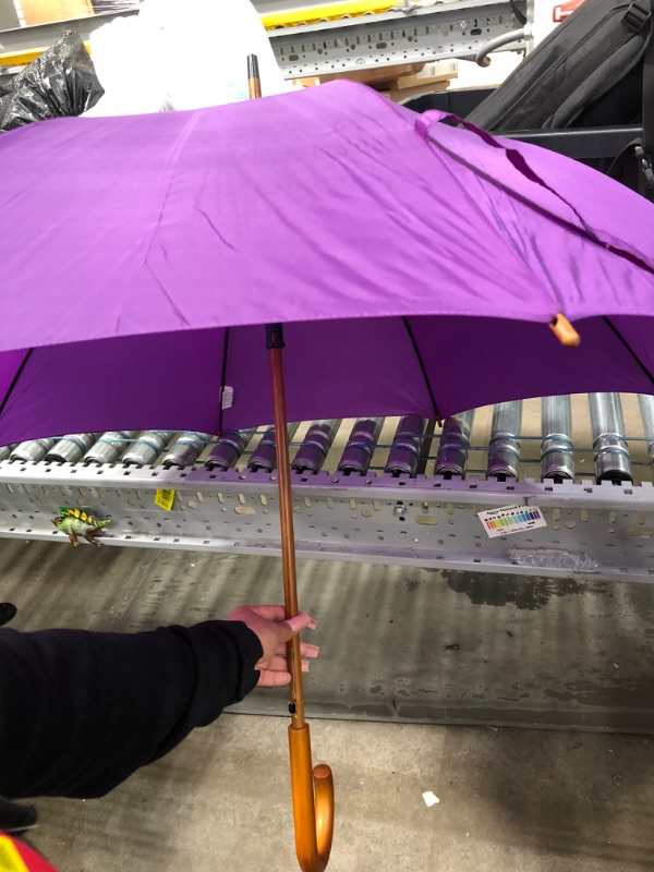 Photo 2 of  purple Haas-Jordan Vintage 48 in Umbrella
