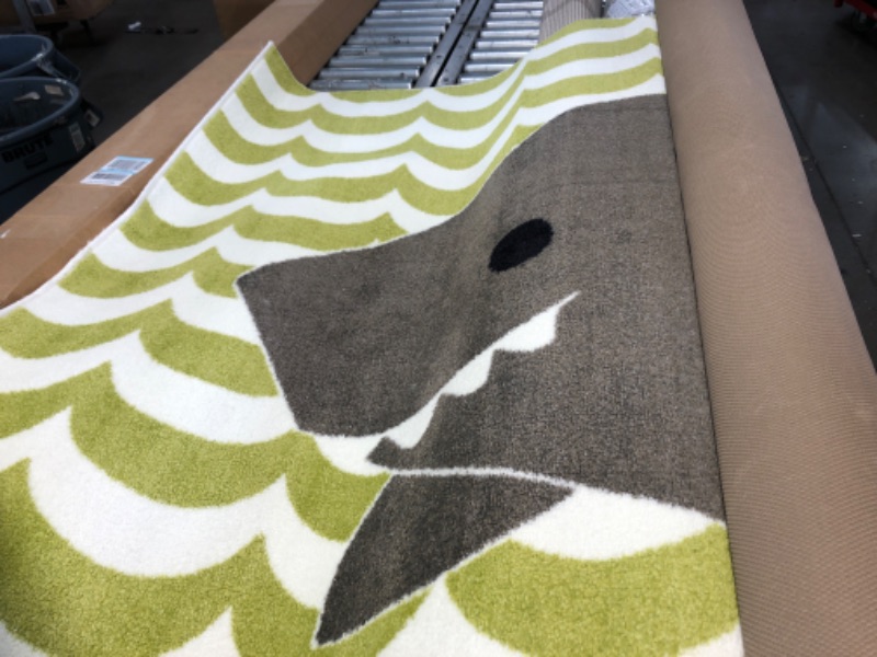 Photo 1 of 5x8 shark area rug