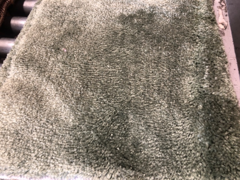 Photo 1 of 8'x10' Green Rug 