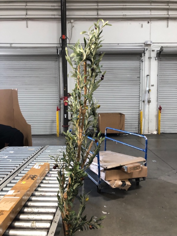 Photo 7 of **tree is slanted**
Nearly Natural 82” Olive Artificial Silk Trees Green