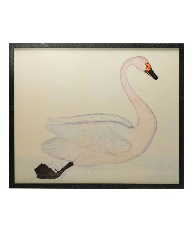 Photo 1 of Wood & MDF Framed Wall Décor with Vintage Reproduction Swan Image, White
