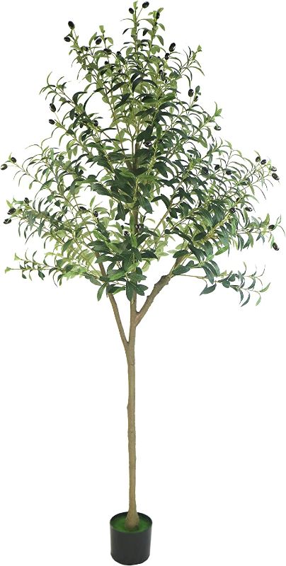 Photo 1 of 6ft Tall Artificial Olive Tree Fake Olive Tree Silk Olive Tree in Black Plastic Pot for Home Decoration
