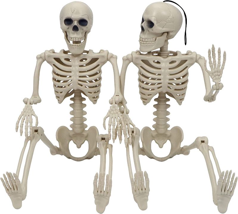 Photo 1 of 2 pcs Halloween Skeletons Full Body Hanging Skeletons