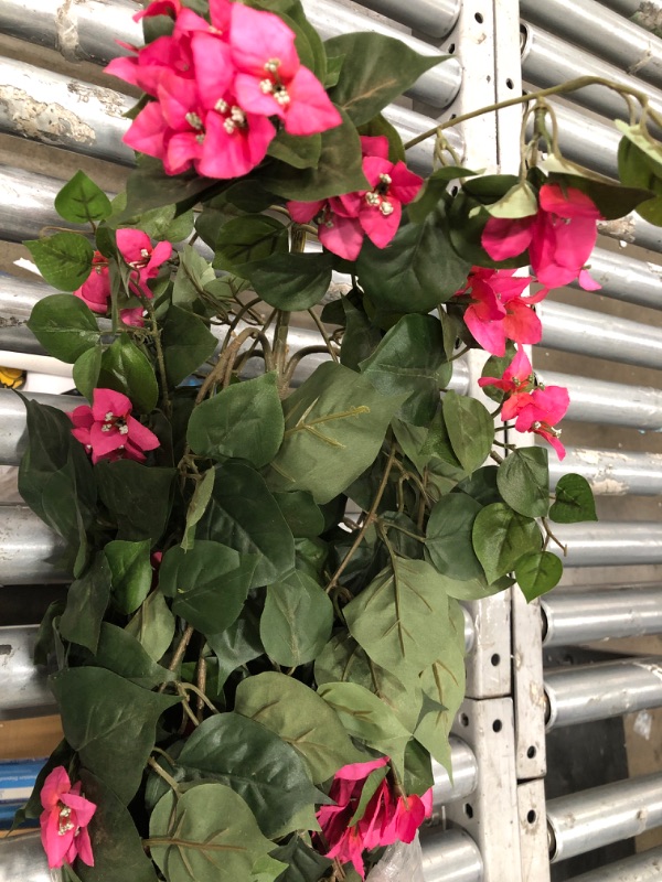 Photo 2 of **PLANT COMES LOOSE FROM VASE** Nearly Natural 5228 Mini Bougainvillea Topiary Beauty