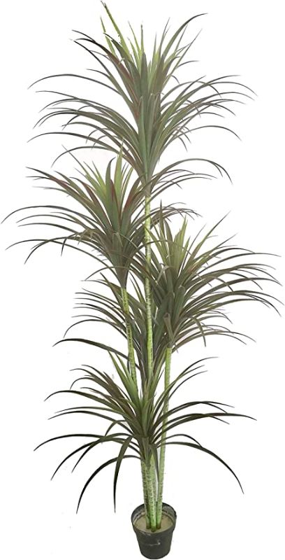 Photo 1 of AMERIQUE Gorgeous & Unique 6 Feet Five Head Yucca Artificial Plant Tree with 151 Leaves, Feel Real Technology, Green (Model: MB5516D6P)
