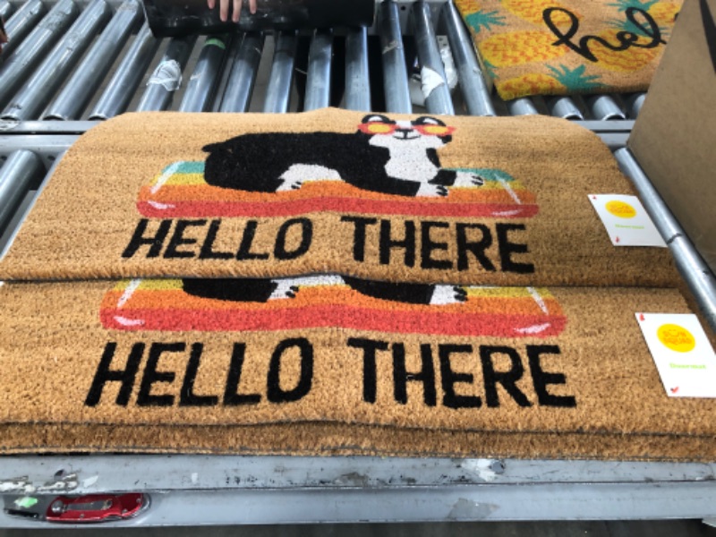 Photo 1 of 2pk-16x26 Hello Summer Dog Doormat Natural - Threshold