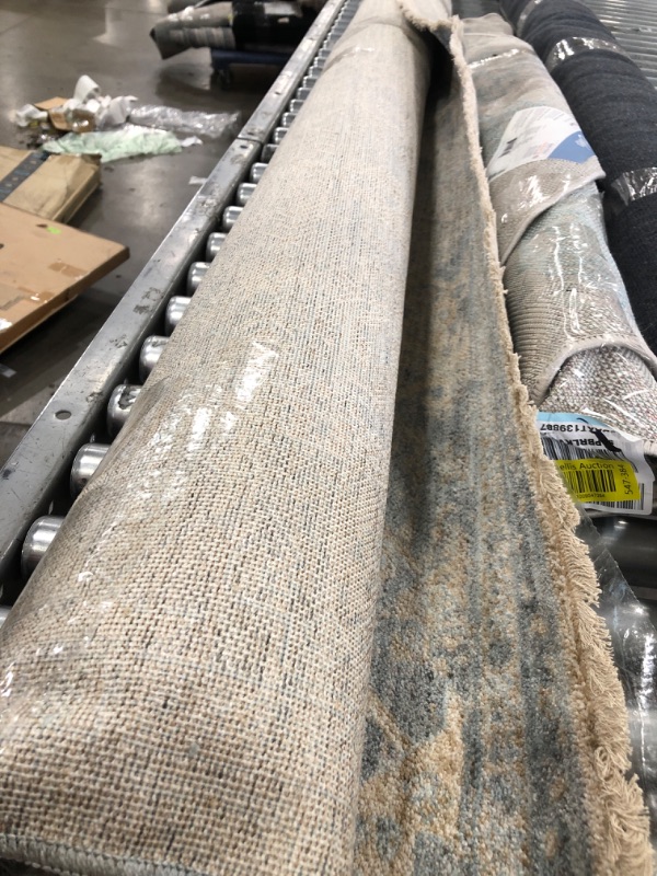 Photo 1 of Angela Rose X Loloi Blake Collection BLA-01 Sky / Beige, Transitional 7'-10" X 10'-2" Area Rug
