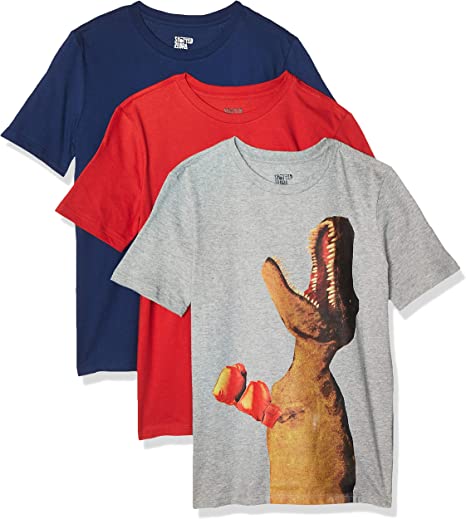 Photo 1 of Amazon Brand - Spotted Zebra Boys' Little Kid 3-Pack Short-Sleeve T-Shirts, Dino, Small (6-7)