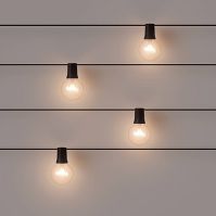 Photo 1 of 20ct Incandescent Outdoor String Lights G40 Clear Bulbs 
