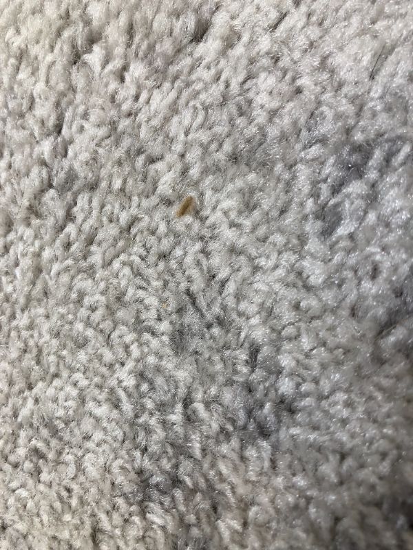 Photo 1 of  nuLOOM Thigpen Contemporary Area Rug, 4' x 6', Grey. Creases and Wrinkles in Item, Moderate Use, Tape on item, Hair found on item, Dirty From Previous Use. 
