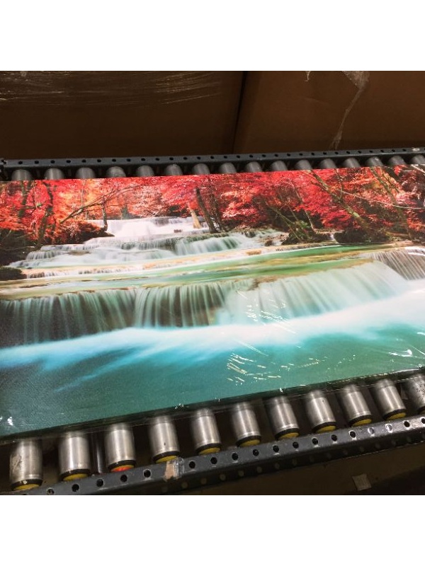 Photo 1 of 24X47 INCH FOREST CANVAS ART