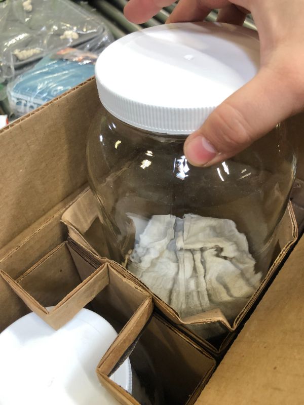 Photo 2 of 2 Pack ~ Wide Mouth 1 Gallon Clear Glass Jar - White Lid with Liner Seal for Fermenting Kombucha/Kefir, Storing and Canning/USDA Approved, Dishwasher Safe
