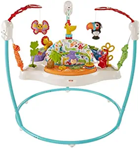 Photo 1 of Fisher-Price Animal Activity Jumperoo, Blue, One Size
