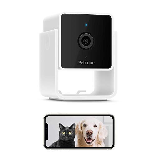 Photo 1 of 2020 Petcube Cam Pet Monitoring Camera with Built-in Vet Chat for Cats & Dogs, Security Camera with 1080p HD Video, Night Vision, Two-Way Audio, Magnet Mounting for Entire Home Surveillance