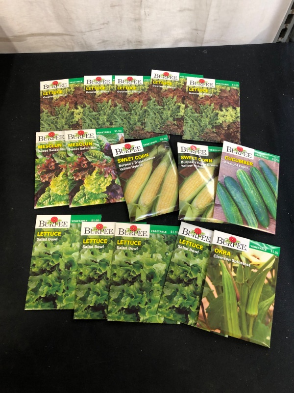 Photo 1 of 15PC LOT, VARIOUS SEEDS FOR PLANTING