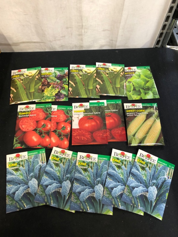 Photo 1 of 15PC LOT, VARIOUS SEEDS FOR PLANTING